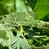 サムネイル 6