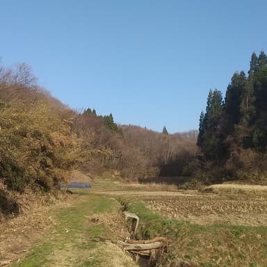 宮入農場のお米つくり①