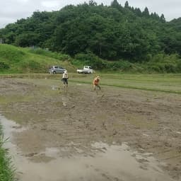2024年　お米つくり