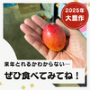 ピンポン玉サイズ
