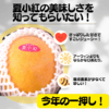 夏小紅：ご自宅用 （2～4玉入り）