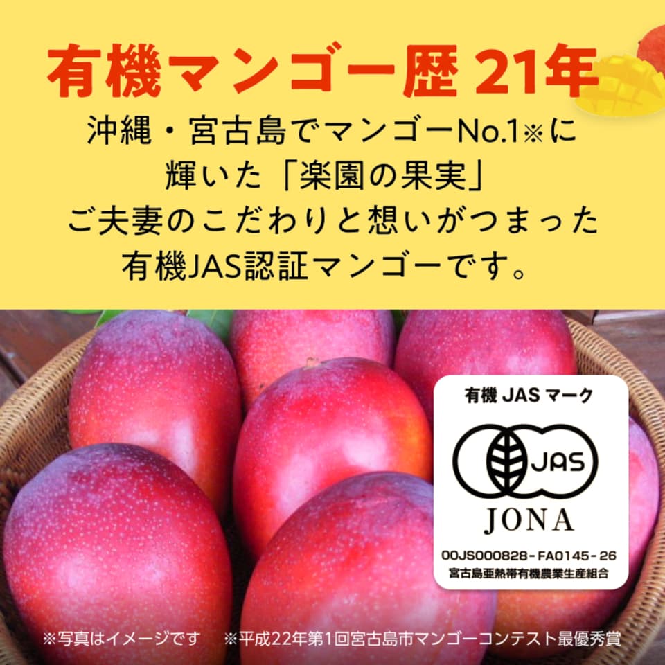 わけあり有機マンゴー