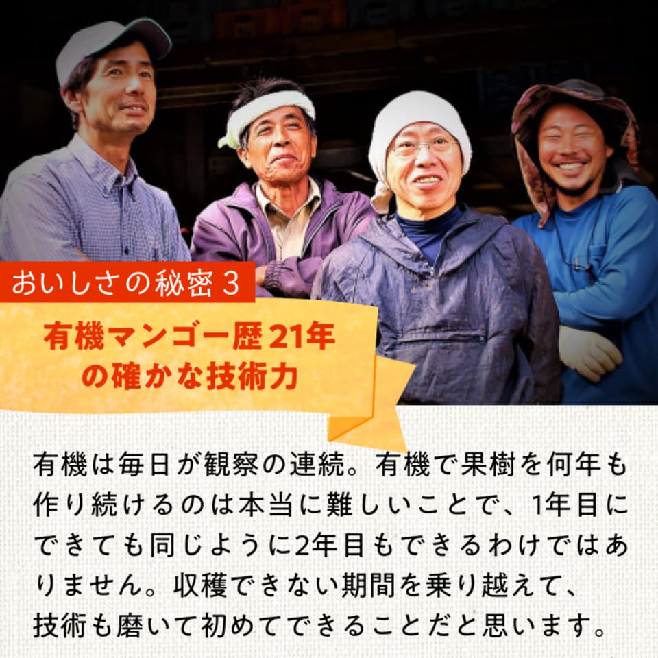 わけあり有機マンゴー