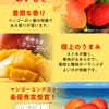 サムネイル 3
