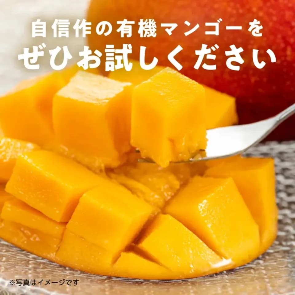 〈箔押し化粧箱〉贈り物におすすめ｜有機マンゴー