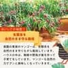 サムネイル 7