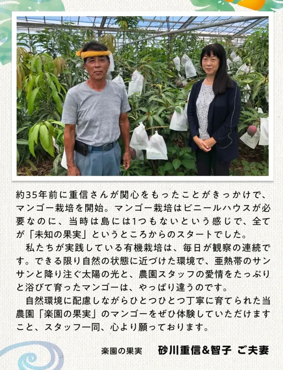 〈箔押し化粧箱〉贈り物におすすめ｜有機マンゴー