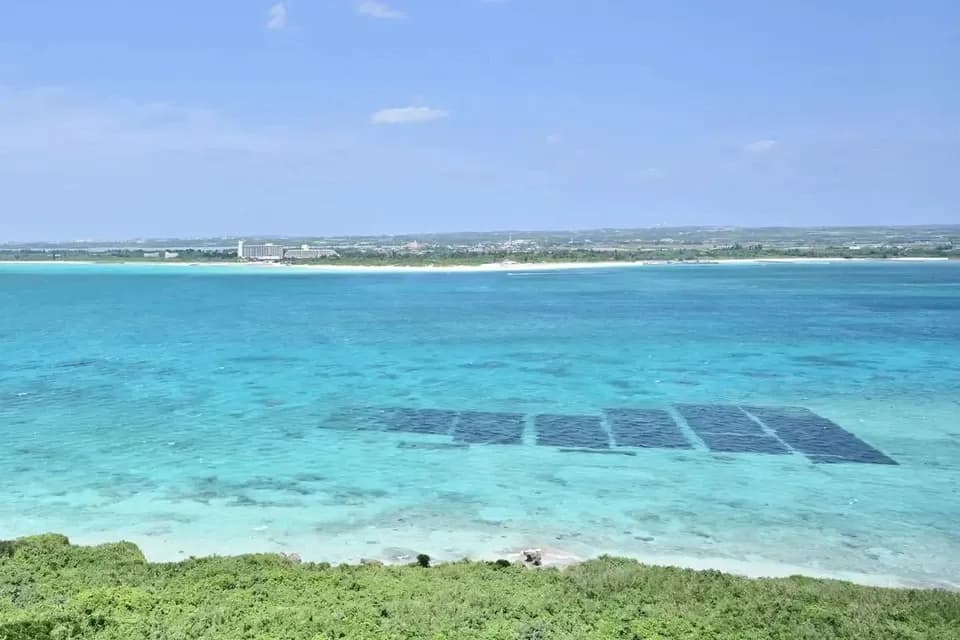 〈送料486円〉宮古・来間島産「太い長い来間株もずく」