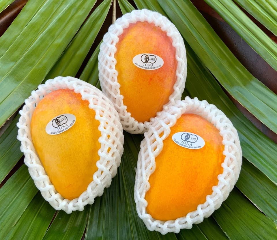 台農（たいのう）食べくらべ！台農と他の品種の混合となります。