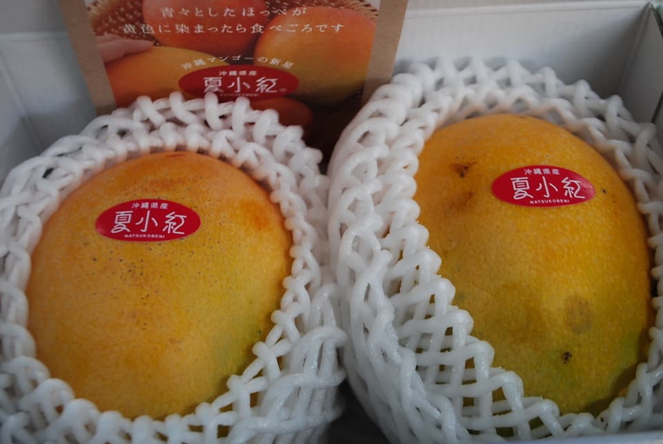 贈り物・ご自宅用に｜ぜひ食べてみてほしい！夏小紅1kg（2玉～4玉） 