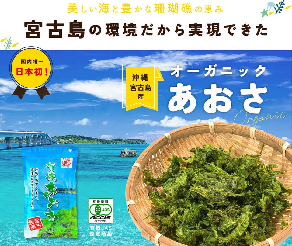 南国の恵みをまるごとお届け＜トロピカルフルーツ＆ベジ詰め合わせ＞宮古島産