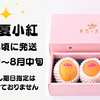 サムネイル 1