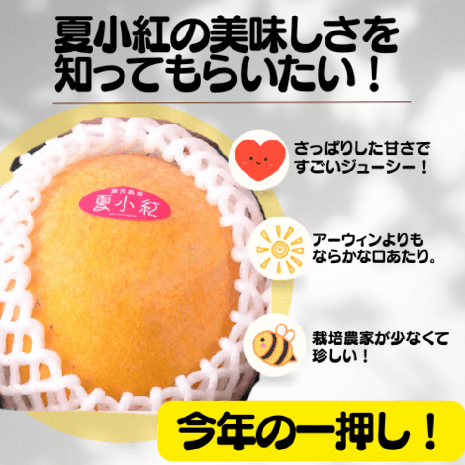 贈り物・ご自宅用に｜ぜひ食べてみてほしい！夏小紅1kg（2玉～4玉） 