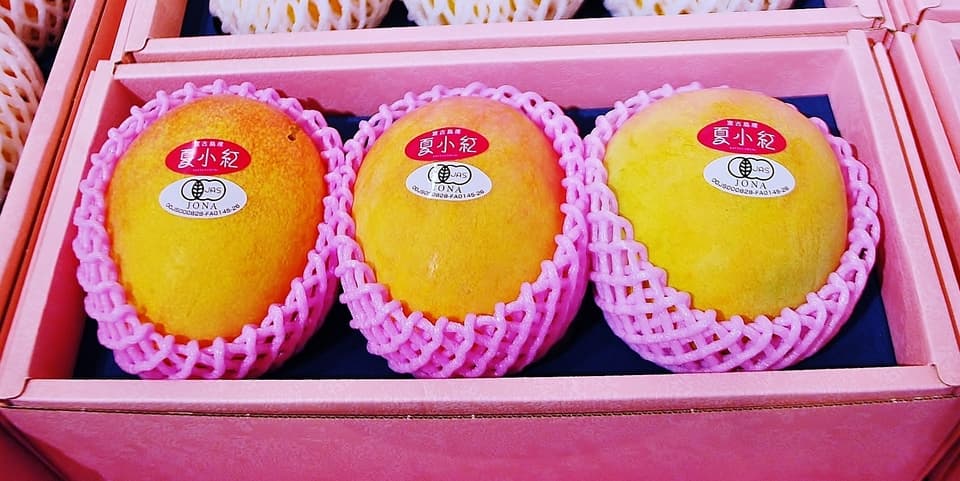 贈り物・ご自宅用に｜ぜひ食べてみてほしい！夏小紅1kg（2玉～4玉） 