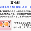 サムネイル 2