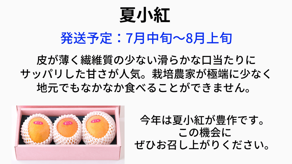 贈り物・ご自宅用に｜ぜひ食べてみてほしい！夏小紅1kg（2玉～4玉） 
