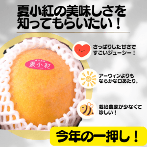 贈り物・ご自宅用に｜ぜひ食べてみてほしい！夏小紅1kg（2玉～4玉） 