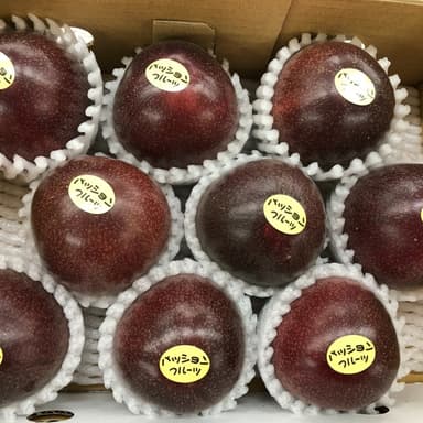 有機マンゴーと同じ圃場でパッションフルーツの栽培をはじめました！