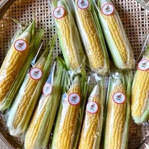 【甘さ自慢】オーガニックとうもろこしの口コミ・レビュー(にゃおさん)
