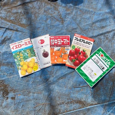 夏野菜の育苗が始まりました！