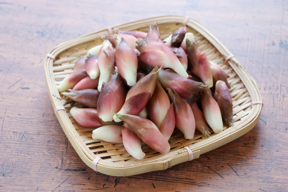 【期間限定】鮮やかな紅の色味と香り！＜本谷秋みょうが＞阿智村園原産【自然栽培】【送料0円〜】