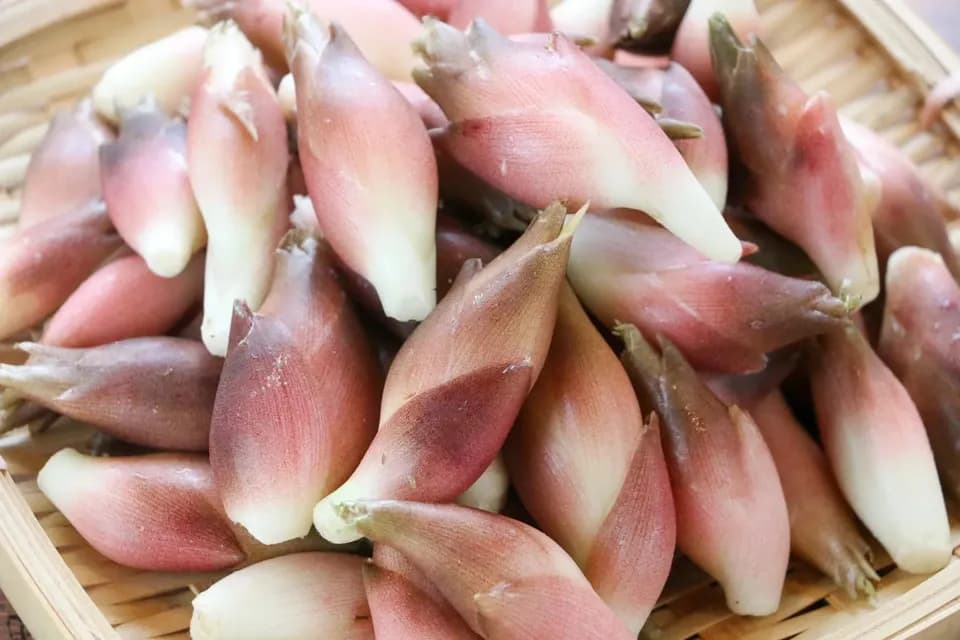 【期間限定】鮮やかな紅の色味と香り！＜本谷秋みょうが＞阿智村園原産【自然栽培】【送料0円〜】