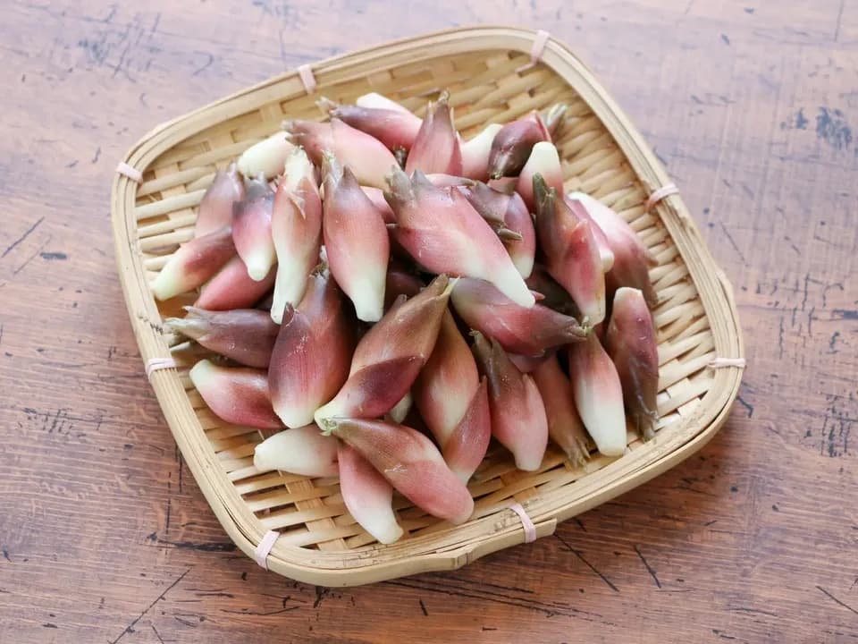 【期間限定】鮮やかな紅の色味と香り！＜本谷秋みょうが＞阿智村園原産【自然栽培】【送料0円〜】