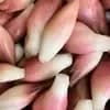 サムネイル 10