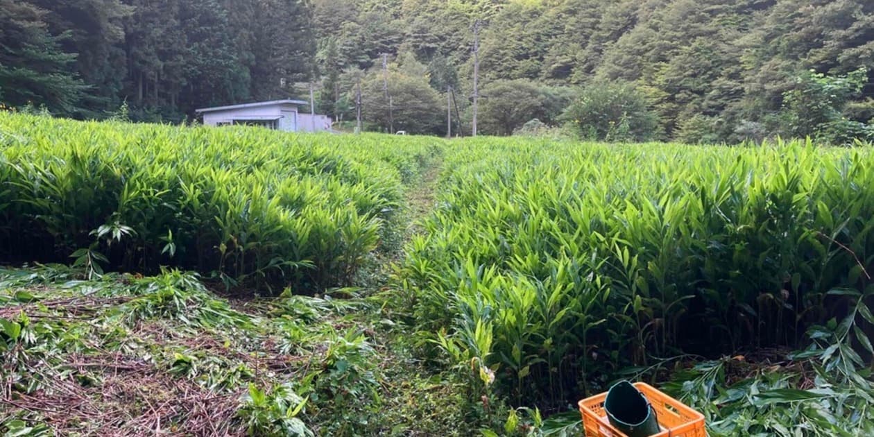 森田自然農園ロゴ