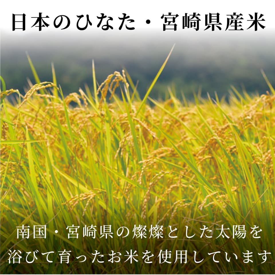 あまざけ+乳酸菌　ちほまろ　500g