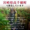 サムネイル 11