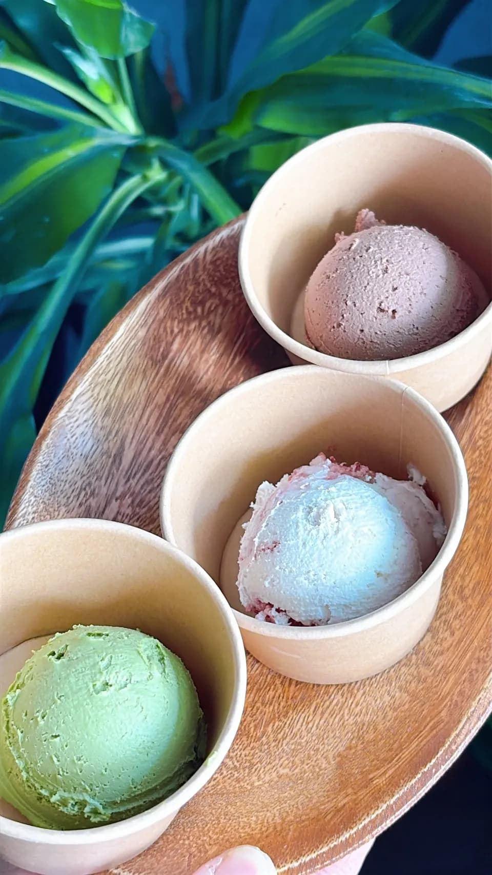 ＜バタークリーム３種類＞ストロベリー、ショコラ、抹茶　乳製品、小麦、卵不使用＞