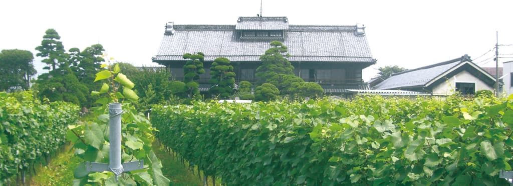 なでしこ農園メイン画像