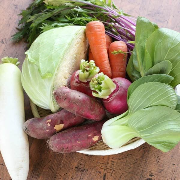 オーガニックの旬野菜セット