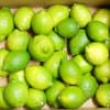 A品 ４kg（箱重量込み）