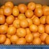 SMLサイズ混合 10kg（箱重量込み）