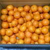 5kg:温州（箱重量込み）
