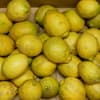 B品 ４kg（箱重量込み）