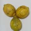 B品 １kg