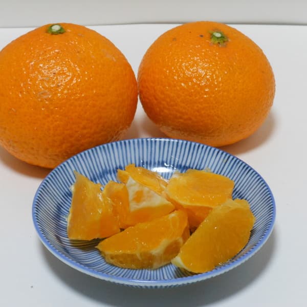 4㎏（箱重量込み）