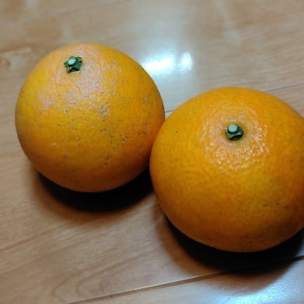 ３㎏