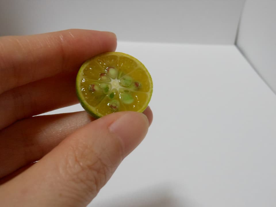 シークワーサー  自然栽培（農薬不使用・化学肥料不使用・除草剤不使用）