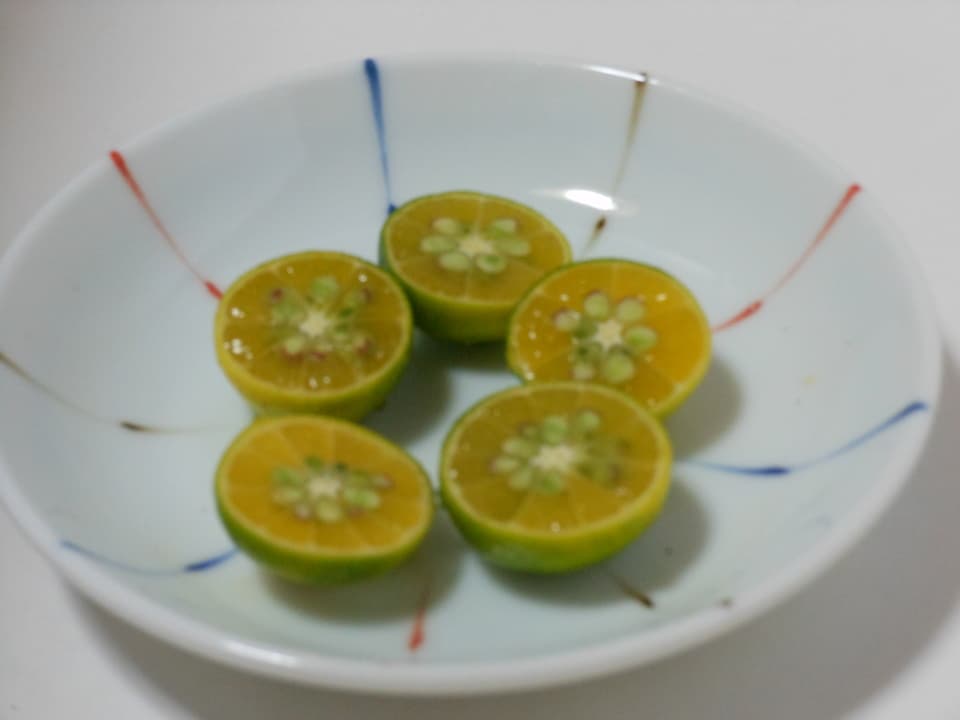 シークワーサー  自然栽培（農薬不使用・化学肥料不使用・除草剤不使用）
