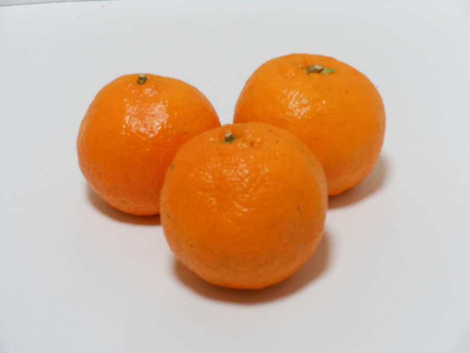 ポンカン　自然栽培（農薬不使用・化学肥料不使用・除草剤不使用）