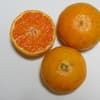 サムネイル 3