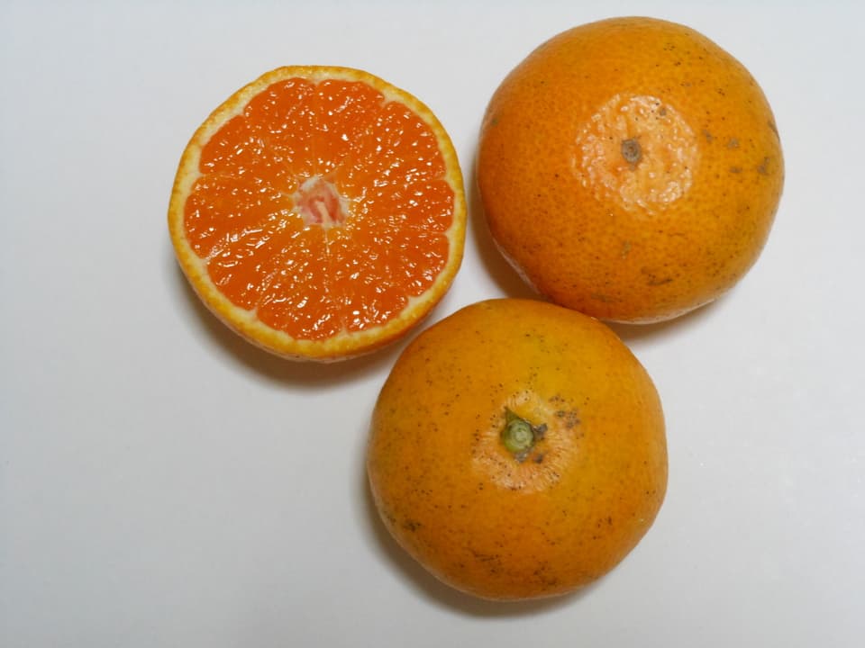 小玉みかん 自然栽培（農薬不使用・化学肥料不使用・除草剤不使用）