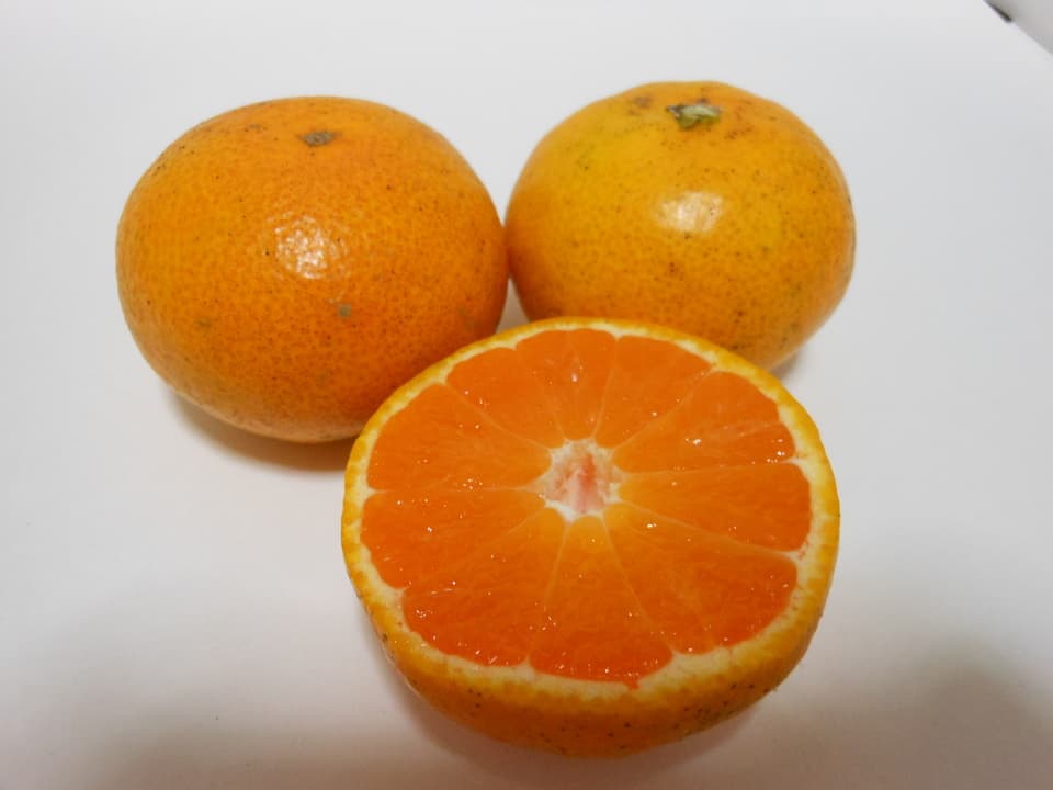 小玉みかん 自然栽培（農薬不使用・化学肥料不使用・除草剤不使用）