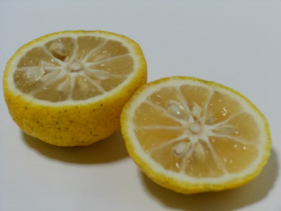 ゆず  自然栽培（農薬不使用・化学肥料不使用・除草剤不使用）
