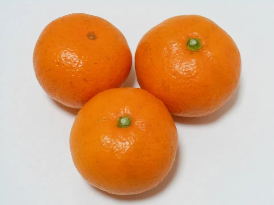 温州みかん  自然栽培（農薬不使用・化学肥料不使用・除草剤不使用）