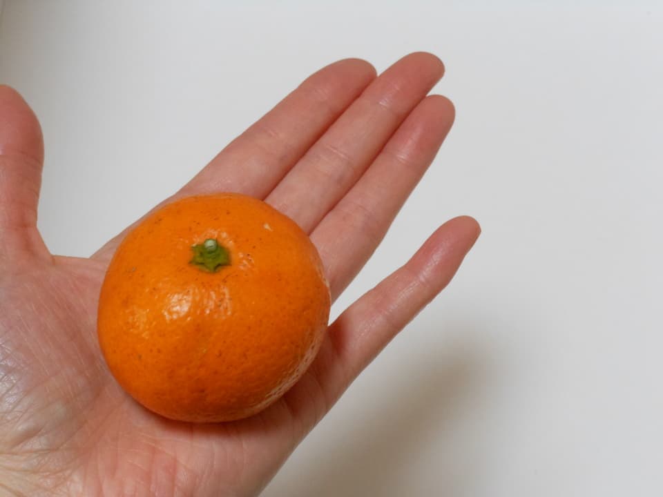 小玉みかん 自然栽培（農薬不使用・化学肥料不使用・除草剤不使用）